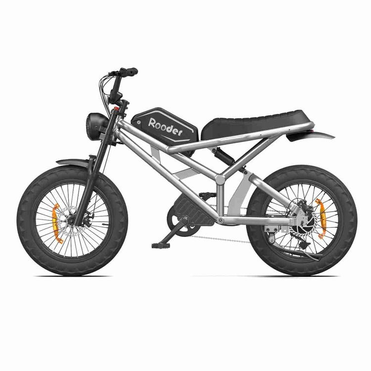 1000 watt electric bike OEM