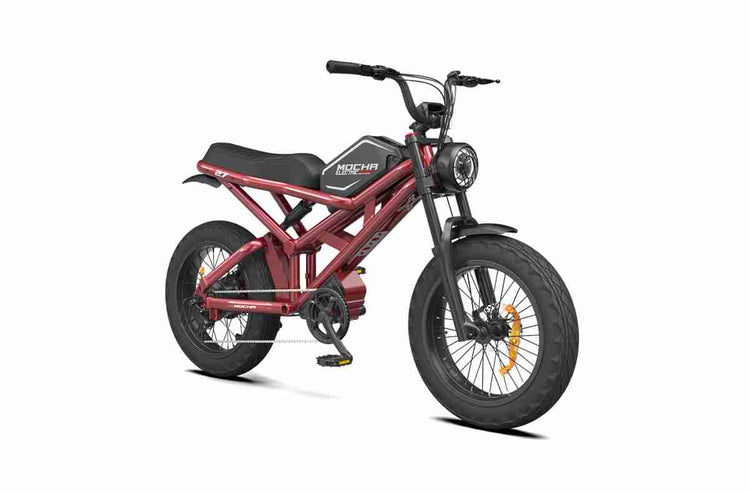 26 inch electric bike OEM