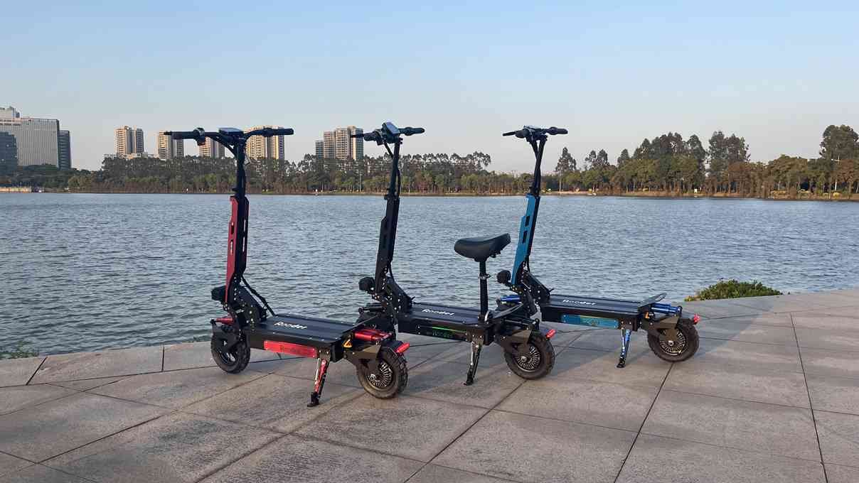 3 Wheel Electric Scooter Stand Up OEM – Citycoco