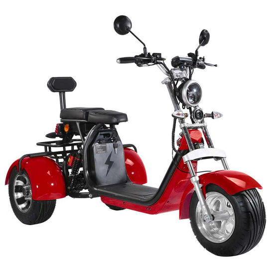 3 Wheel Electric Scooter Fat Tire Citycoco Trike 60V 40AH EEC COC