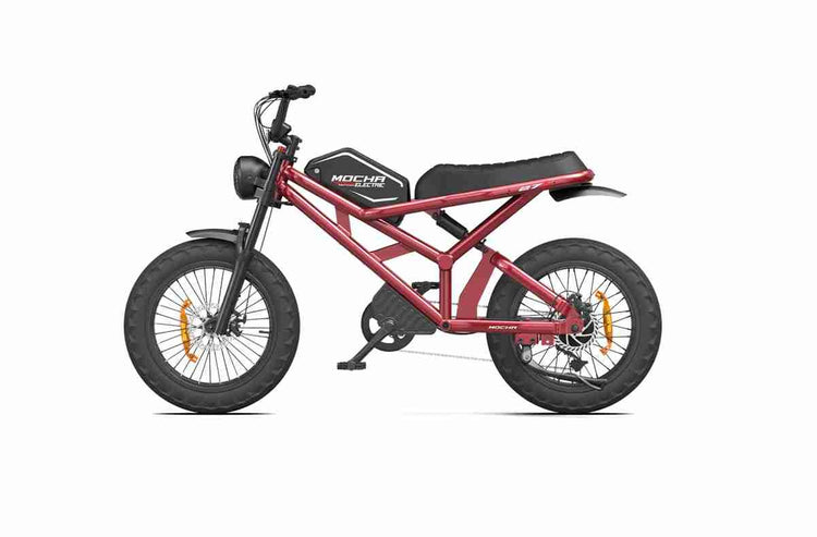 E Fatbike OEM