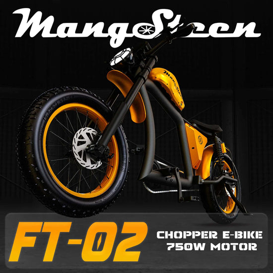 Mangosteen FT02 Electric Bike With Fat Tire 25kmh CE EU for Sale 2
