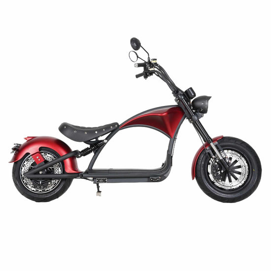Mangosteen Electric Motorcycle Rooder eRoller m1p Citycoco Custom 2