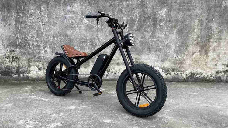 Portable Ebikes OEM