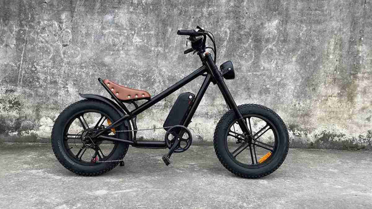 Powerful Folding Electric Bike OEM