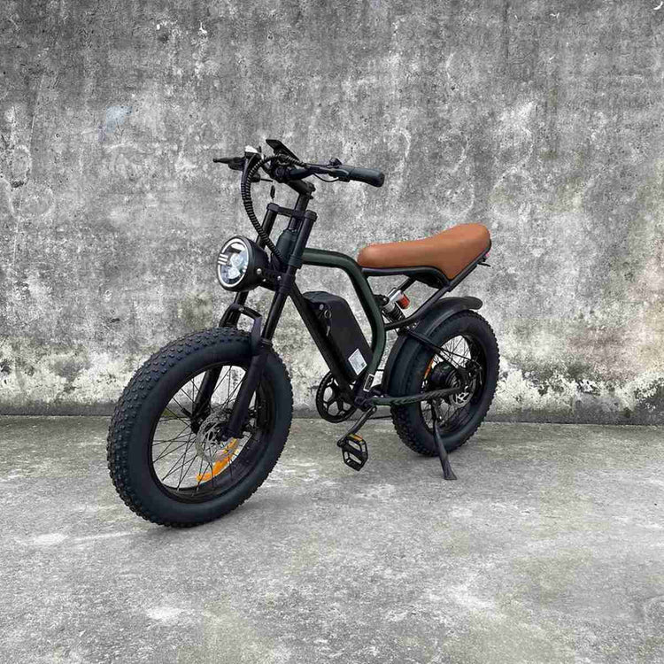 Single Speed Ebike OEM