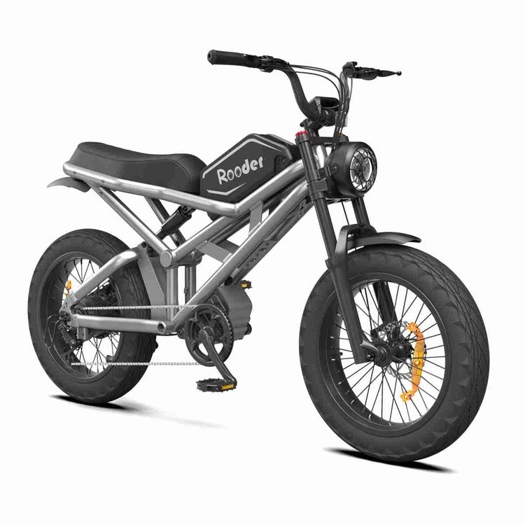 Smart Folding Bike OEM