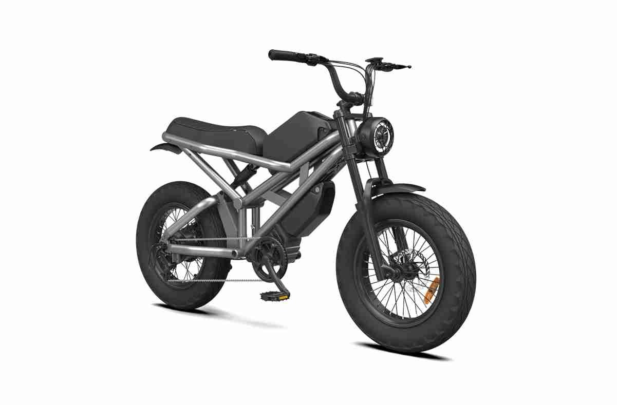 best electric bicycles 2024 OEM Citycoco