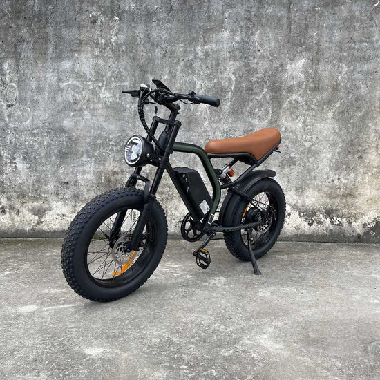 best electric bike Rooder cb02 48v 500w 20ah 25-45km/h wholesale price