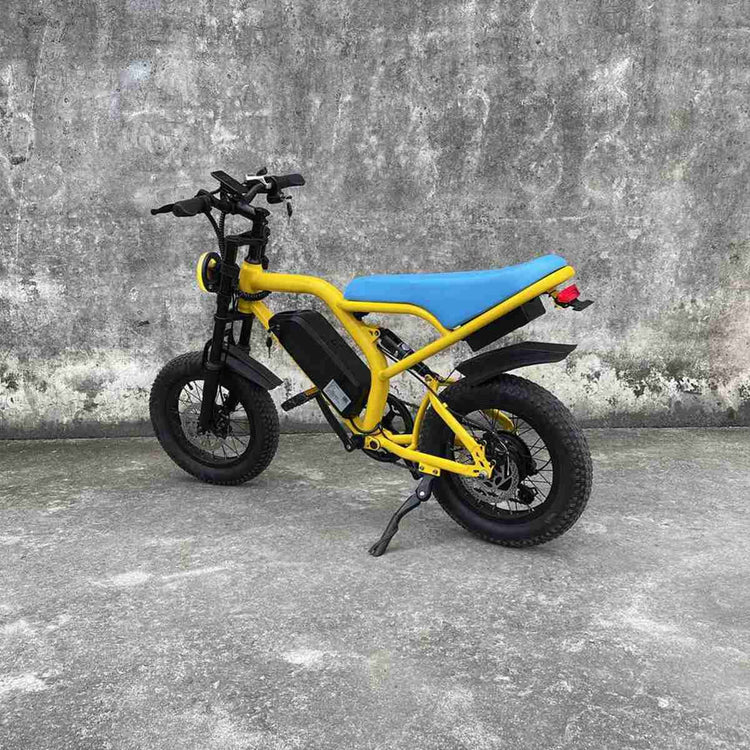 e bike de OEM