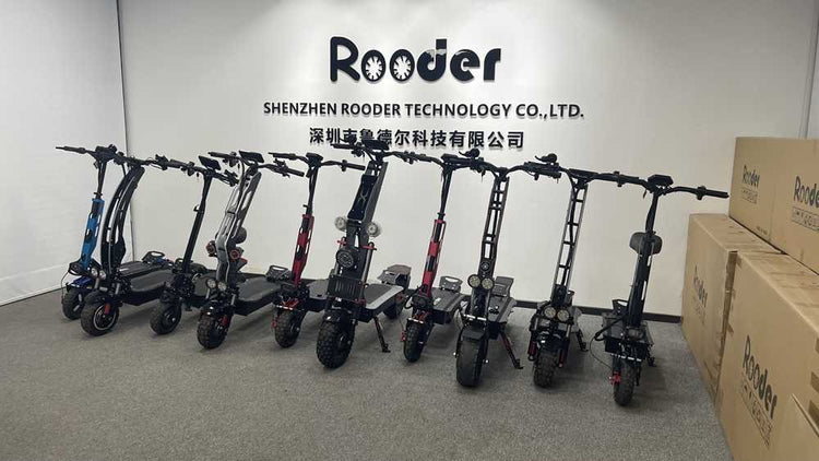 e10 scooter OEM
