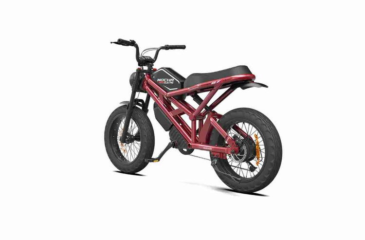 electric bicycles for adults OEM