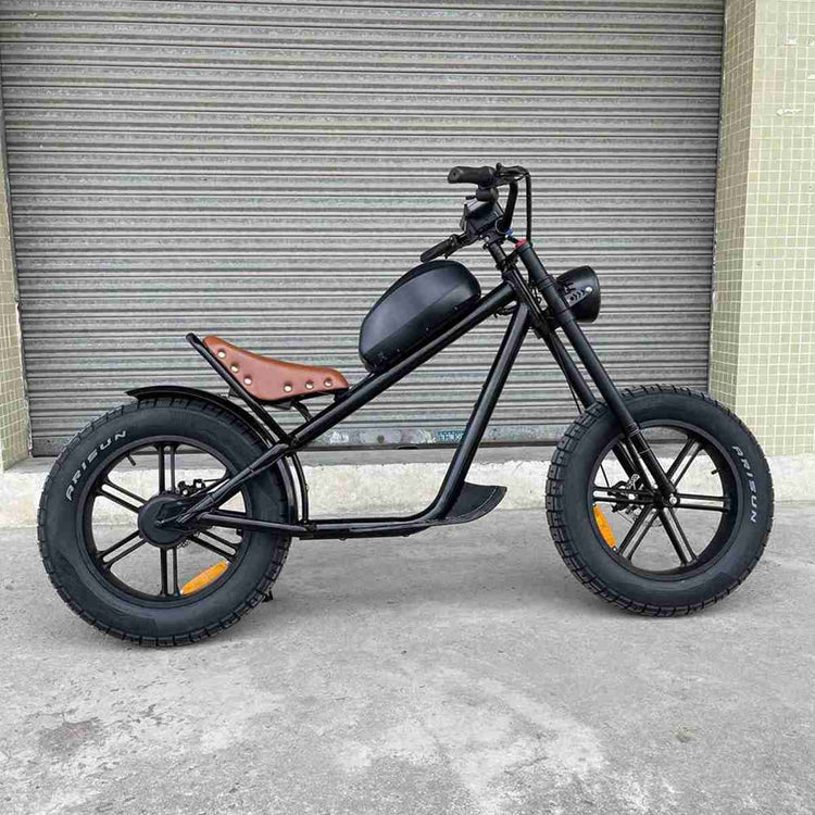 electric cycle with gear OEM