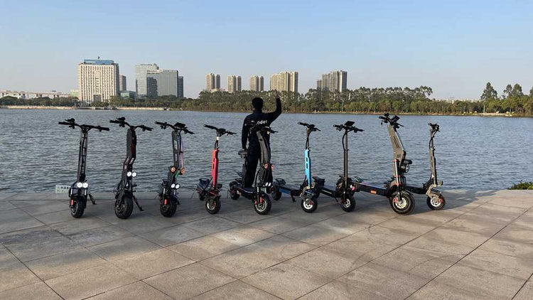 electric scooter with suspension OEM