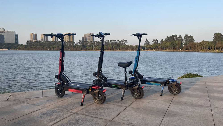 portable electric scooter OEM