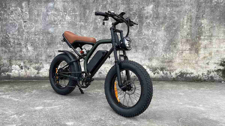 the best e bikes OEM