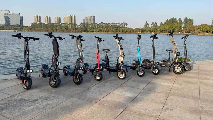 top 5 electric scooter OEM