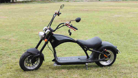 2024 Citycoco Scooter