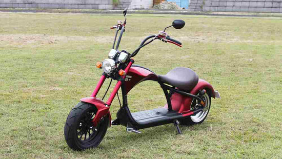 3 Wheel Citycoco Scooter