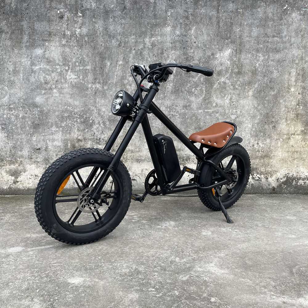 electric bike