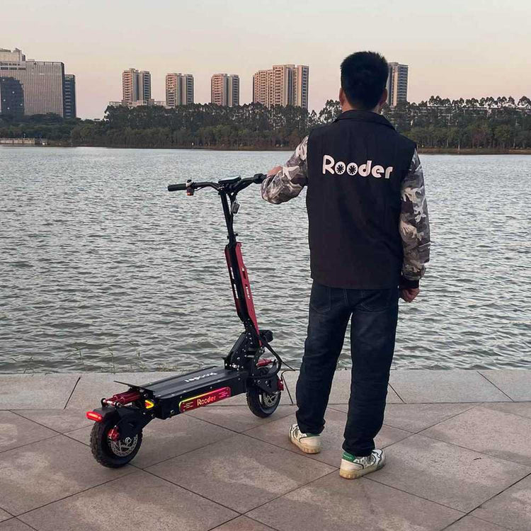 10 inch electric scooter OEM