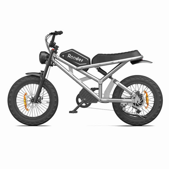 1000 watt electric bike OEM