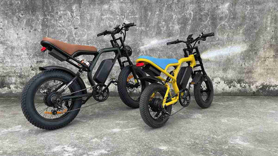 1000w electric bike OEM