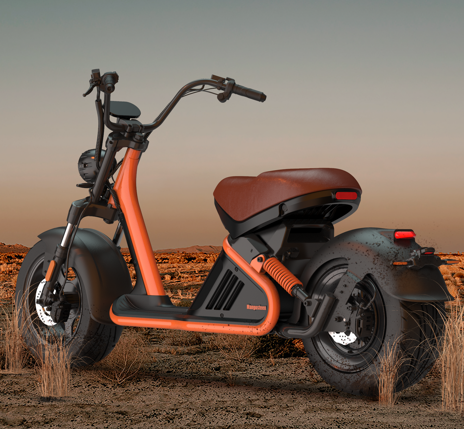 Mangosteen m2 Rooder alligator citycoco chopper electric scooter review