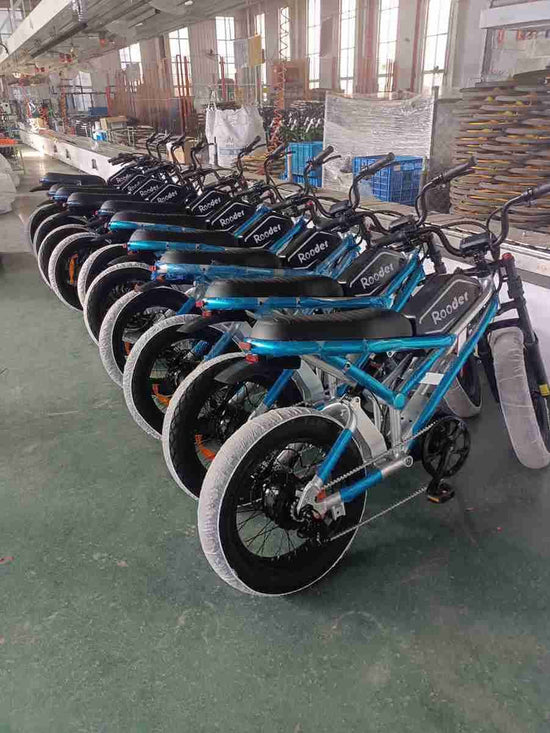 2 Wheel Electric Bike OEM