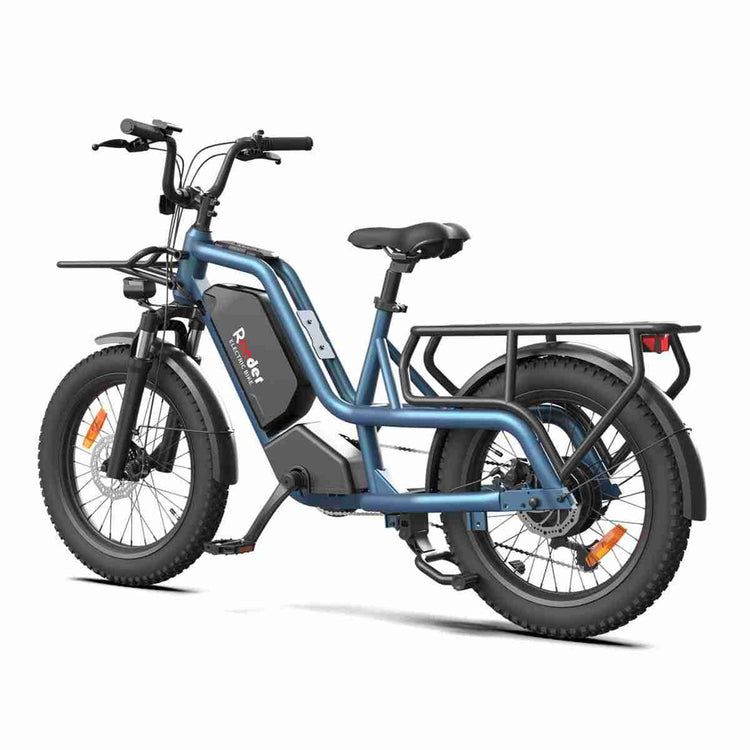 2 seater electric bike OEM