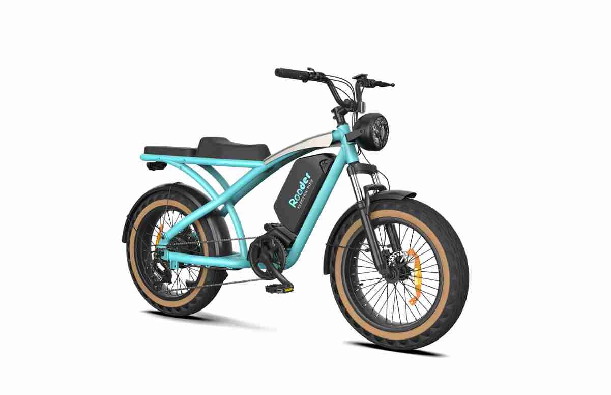 20 Folding E Bike OEM