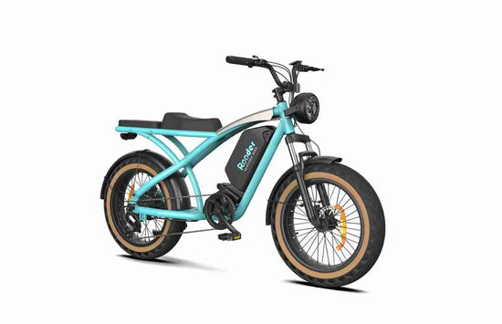 20 Folding Electric Bike OEM