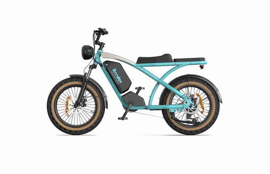 20 In Ebike OEM