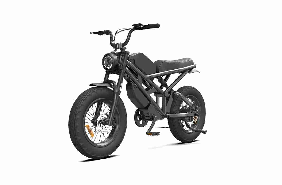 20 Inch Electric Folding Bike OEM