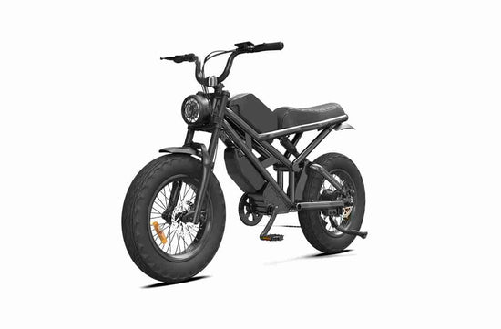 20 Inch Electric Folding Bike OEM