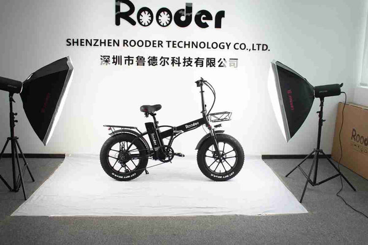 20 Inch Folding Electric Bike OEM