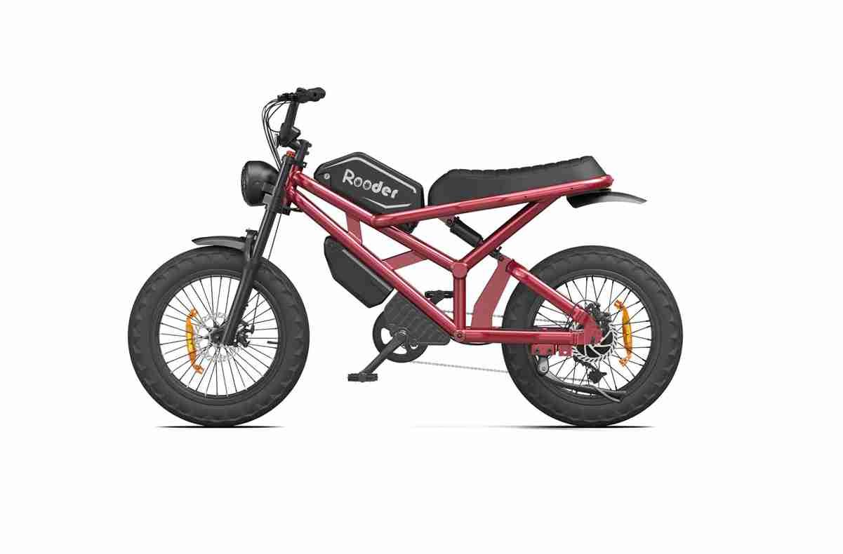 2000 watt electric bike OEM