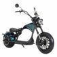 Mangosteen Electric Motorcycle Rooder eRoller m1p Citycoco Custom