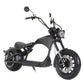 Mangosteen Electric Motorcycle Rooder eRoller m1p Citycoco Custom