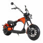 Mangosteen Electric Motorcycle Rooder eRoller m1p Citycoco Custom