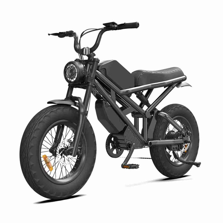 24 Inch Fat Tire Electric Bike OEM