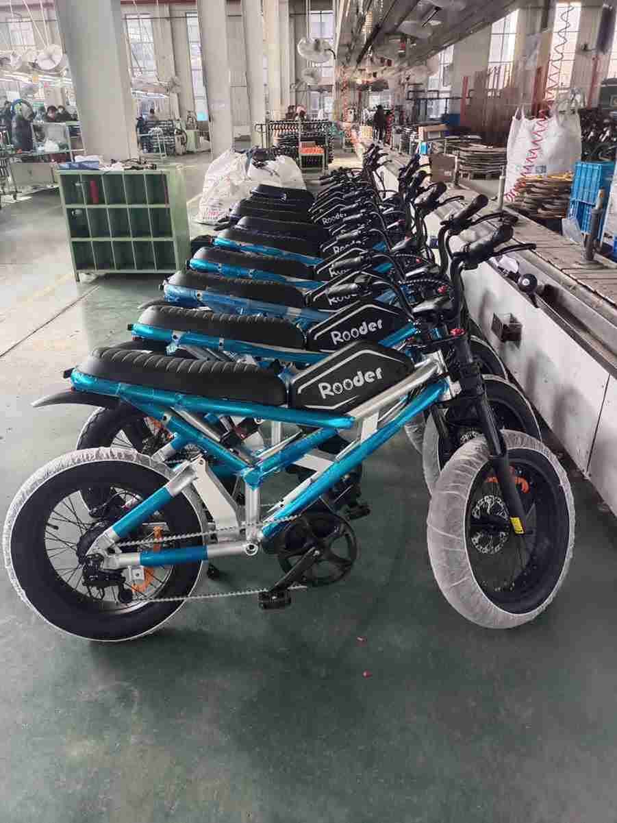 250w Electric Bike China OEM