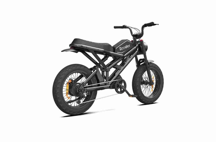 250w Folding Electric Bike OEM