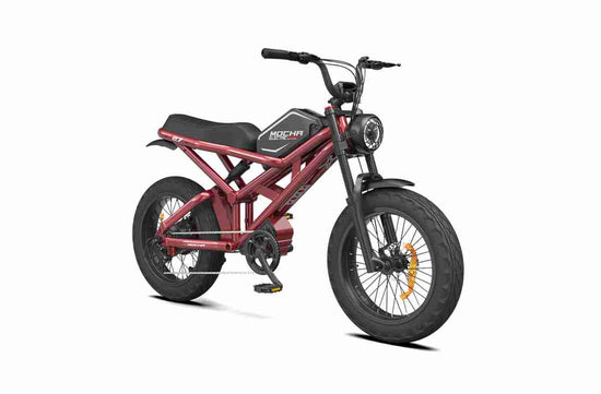 26 inch electric bike OEM