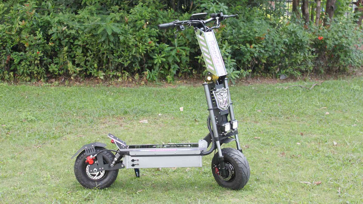 3 Wheel Electric Stand Up Scooter OEM