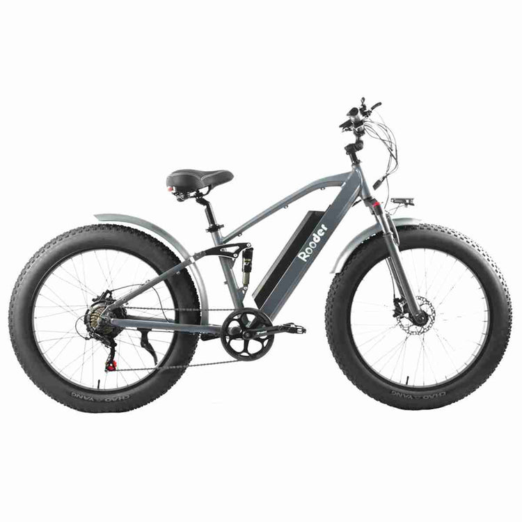 3 wheel e bike OEM