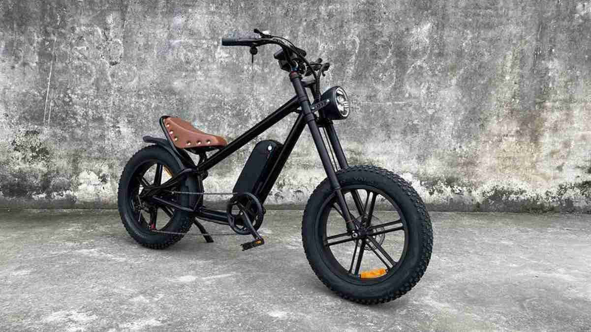 3 wheel electric bike for adults OEM