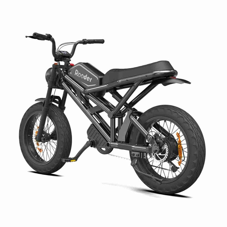 3 wheel electric bike OEM