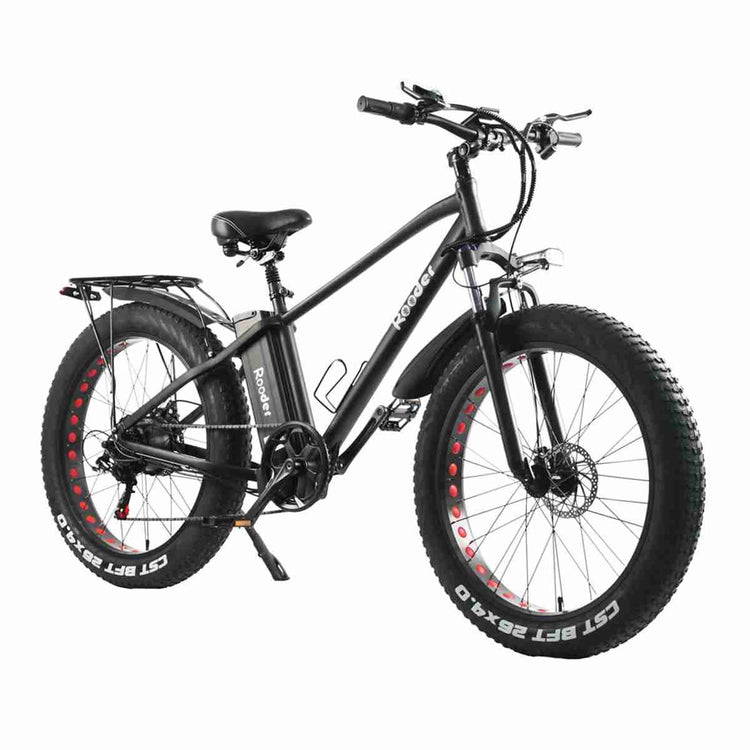 3 wheel electric bikes for seniors OEM