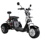 3 Wheel Electric Scooter Fat Tire Citycoco Trike 60V 40AH EEC COC